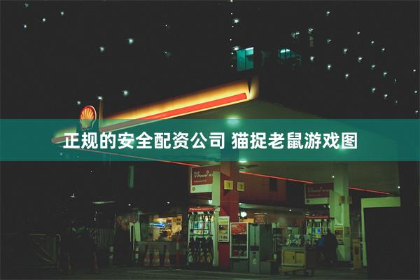 正规的安全配资公司 猫捉老鼠游戏图