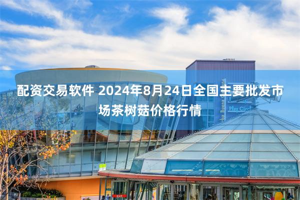 配资交易软件 2024年8月24日全国主要批发市场茶树菇价格行情